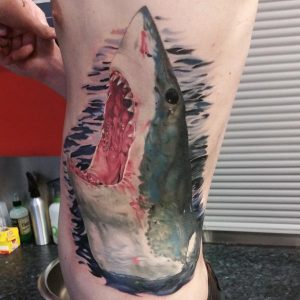 Jaws by Craig