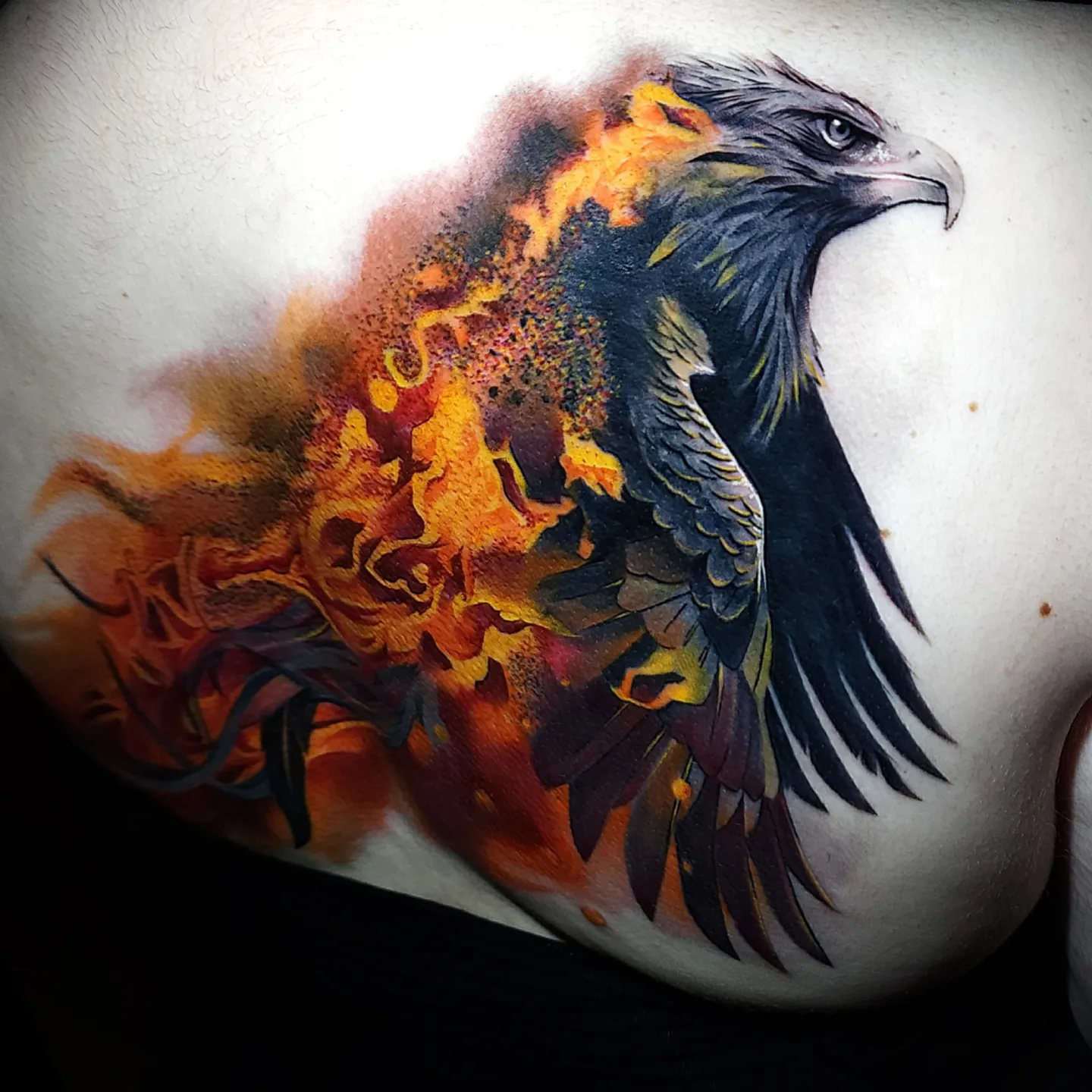 Eagle by Craig