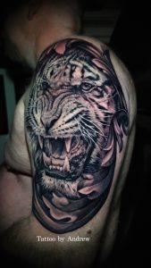 Tiger by Andrew